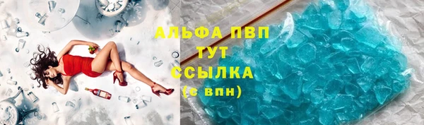 индика Балахна