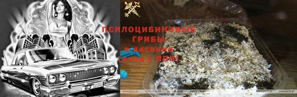 индика Балахна