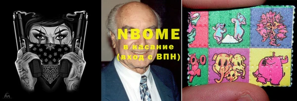 индика Балахна
